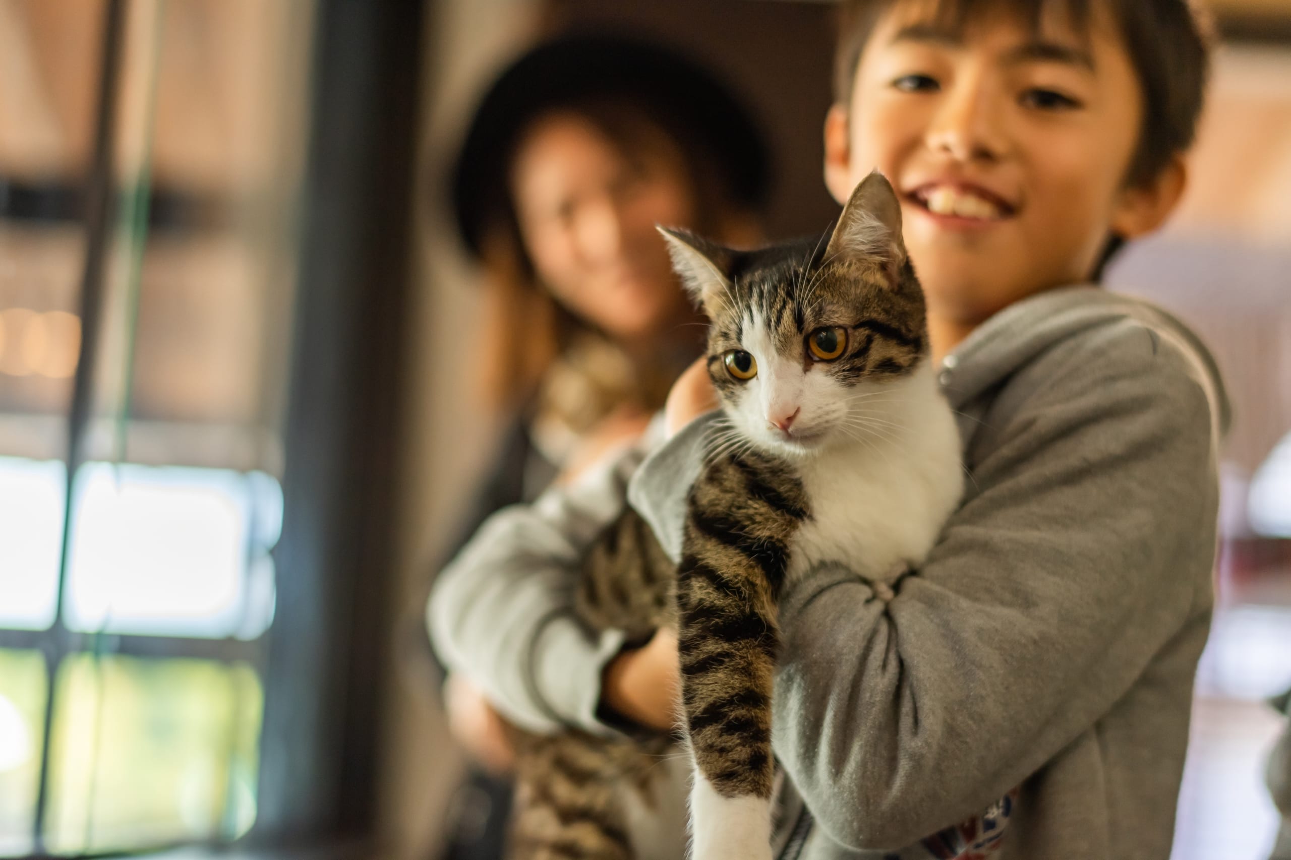 動物 猫の殺処分をゼロにしたい 猫好きデザイナーの やる気 から始まった 猫を幸せにするジュエリーショップ やる気ラボ 動物 猫の殺処分をゼロにしたい 猫好きデザイナーの やる気 から始まった 猫を幸せにするジュエリーショップ やる気ラボ