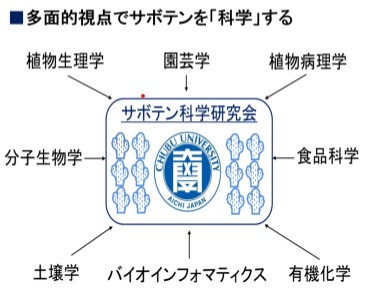 サボテン研究会の全体像