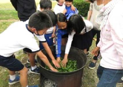 【写真2】とよかわのお茶プロジェクトでの子どもたちの釜煎り茶体験の一場面